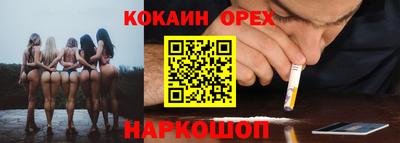 стаф Кинель
