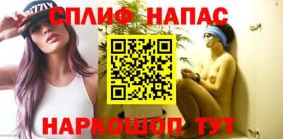 индика Кингисепп