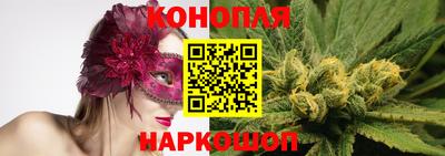 индика Кингисепп