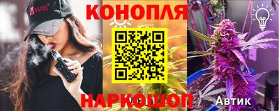 индика Кингисепп