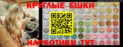 индика Кингисепп